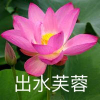 梦幻q传德米游戏下载